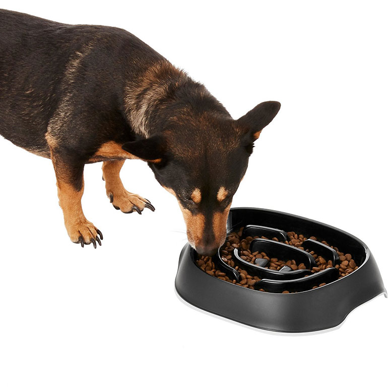 9 Best Dog Bowls to Buy In 2020 - Top Dog Food & Water Bowls