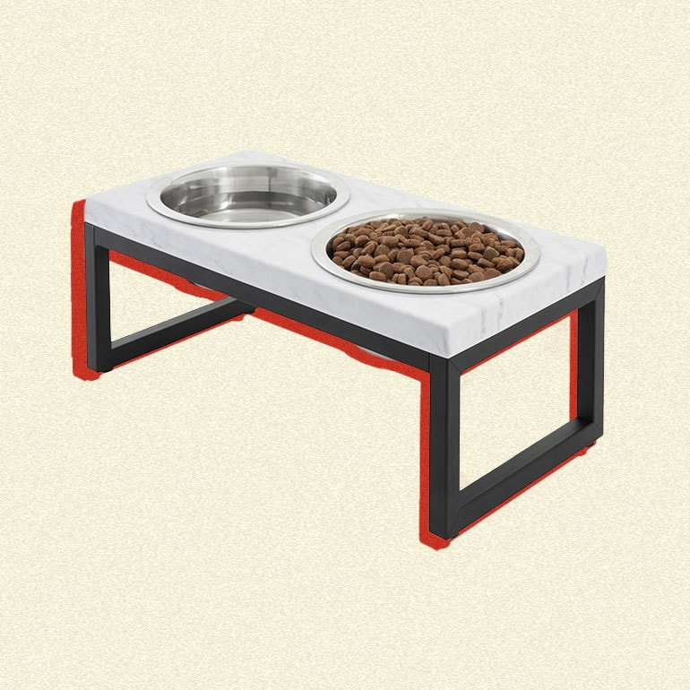 The Best Dog Feeders You Can Buy for Your Pup
