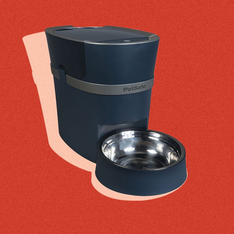 Buying Guide: The Best Dog Bowls and Feeders for Every Pup