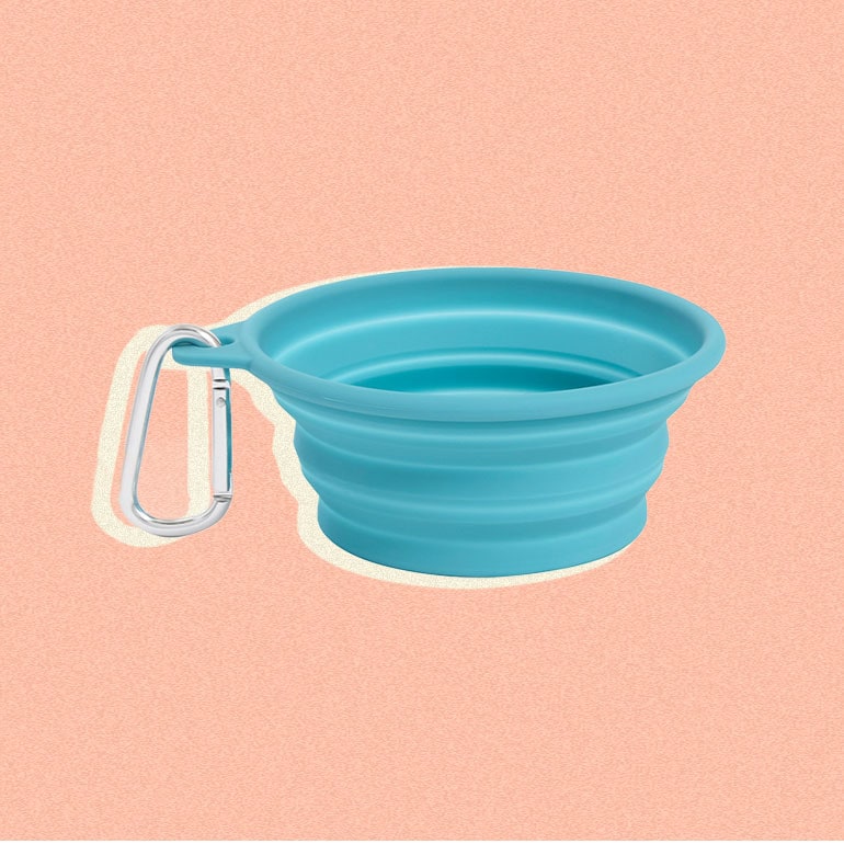 The 28 Best Dog Bowls for Every Type of Hungry Pup in 2022: , Chewy,  Outward Hound