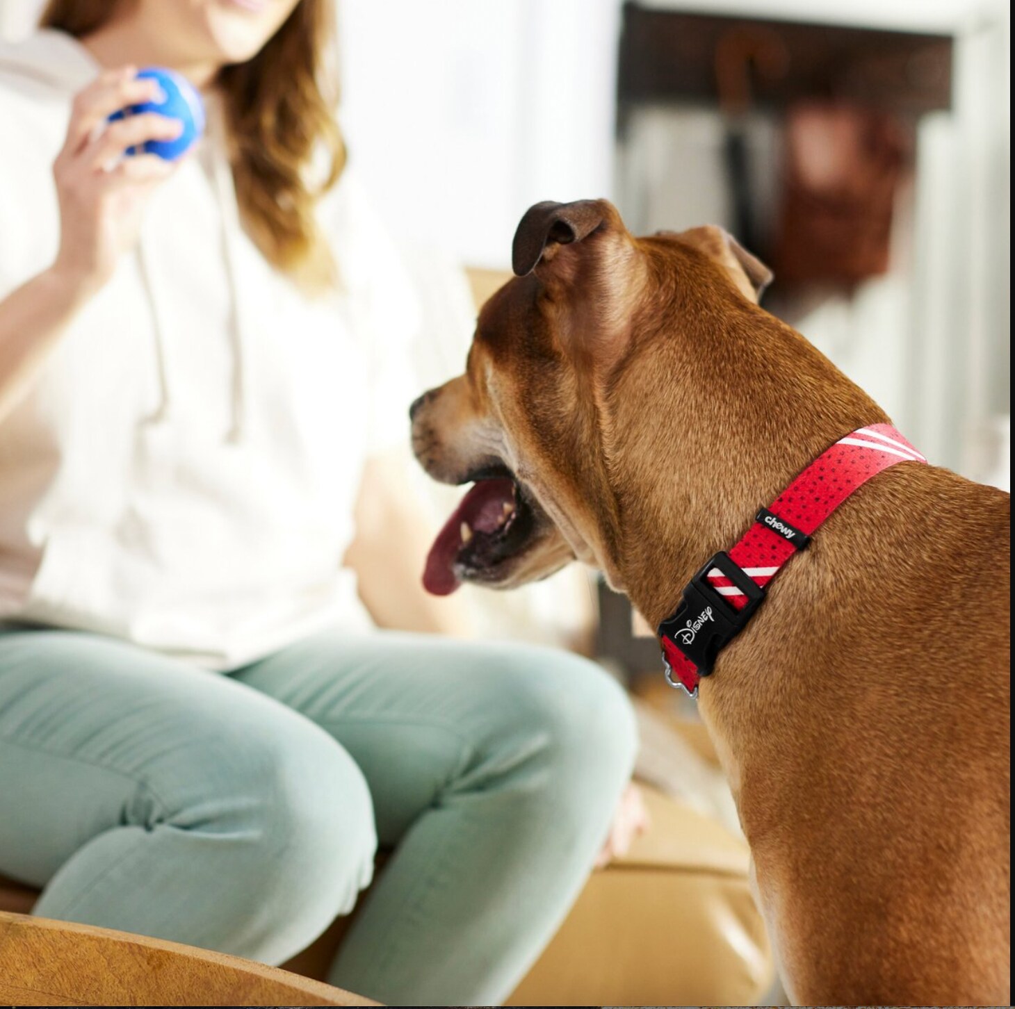 Mickey Mouse Streetwear Pattern Dog Collar