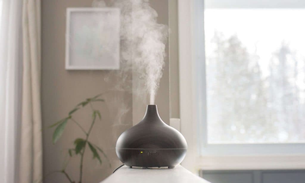 Essential Oil Diffusers and Pet Health- What's the Harm?, Air