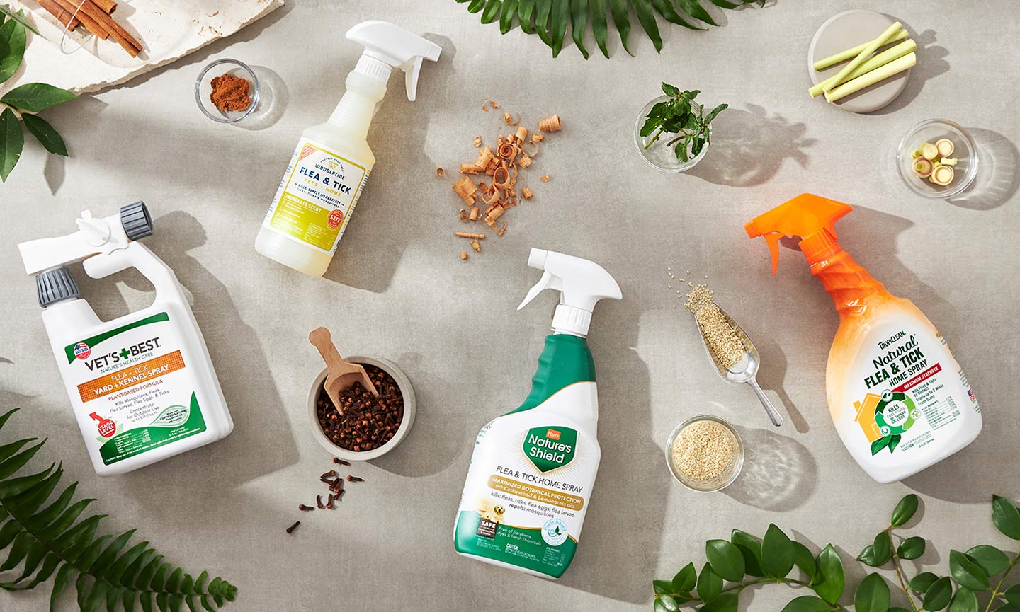 Natural Remedies for Fleas Around Your Home and Yard BeChewy