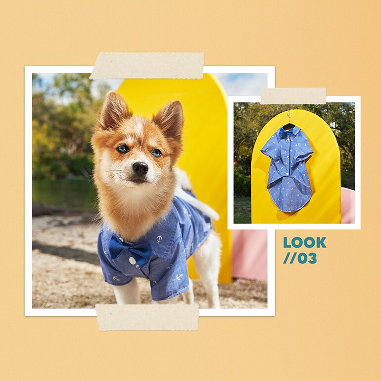 Cute Dog Clothes