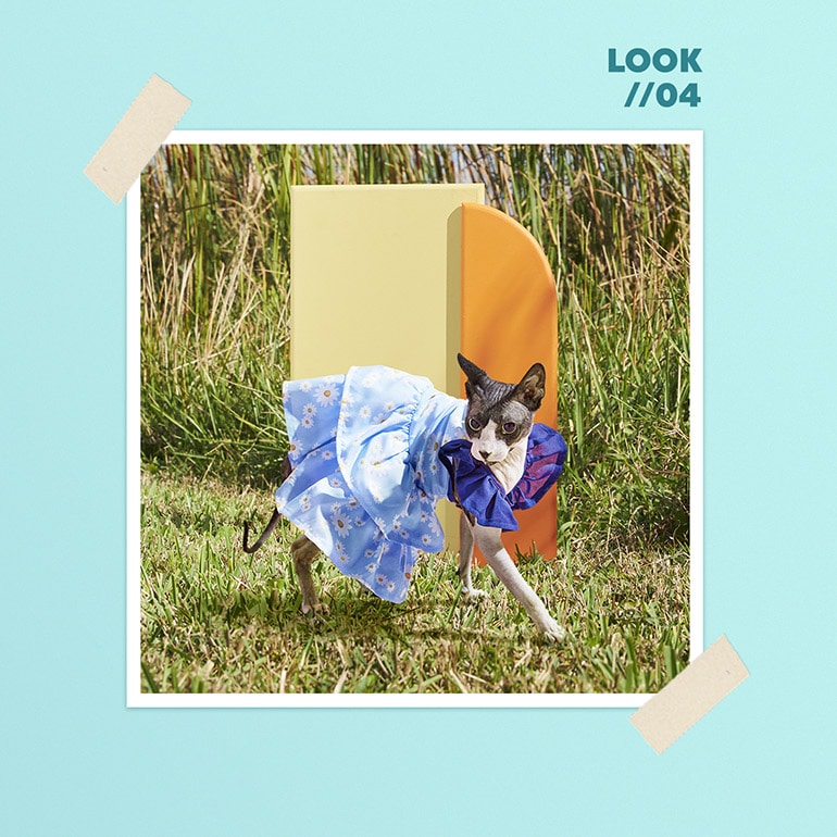 Cute Dog Clothes