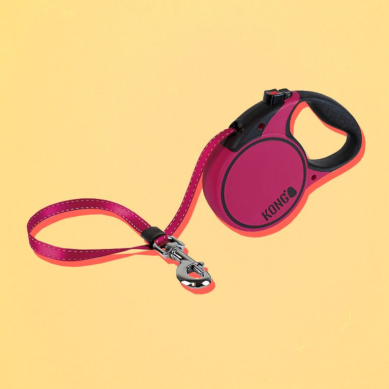 best retractable lead