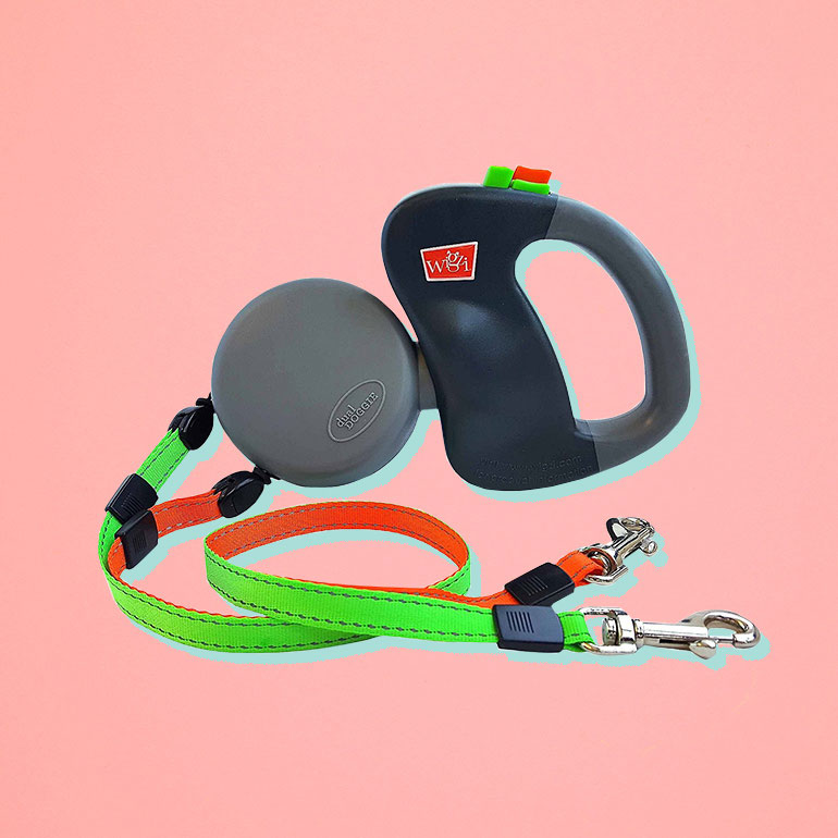 Buying Guide How to Shop for the Best Dog Leash BeChewy