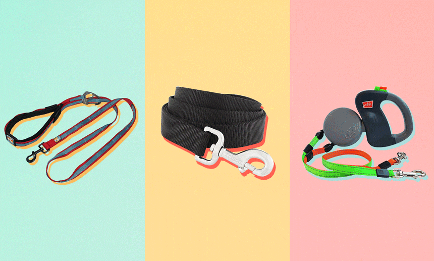 best dog leashes buying guide