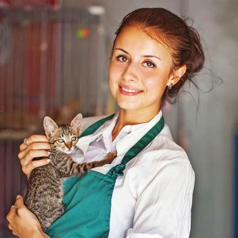 shelter cat iStock.com/LiudmylaSupynska