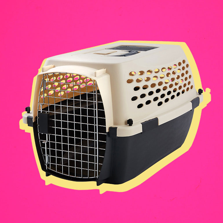 best cat carrier - best cat crate or kennel
