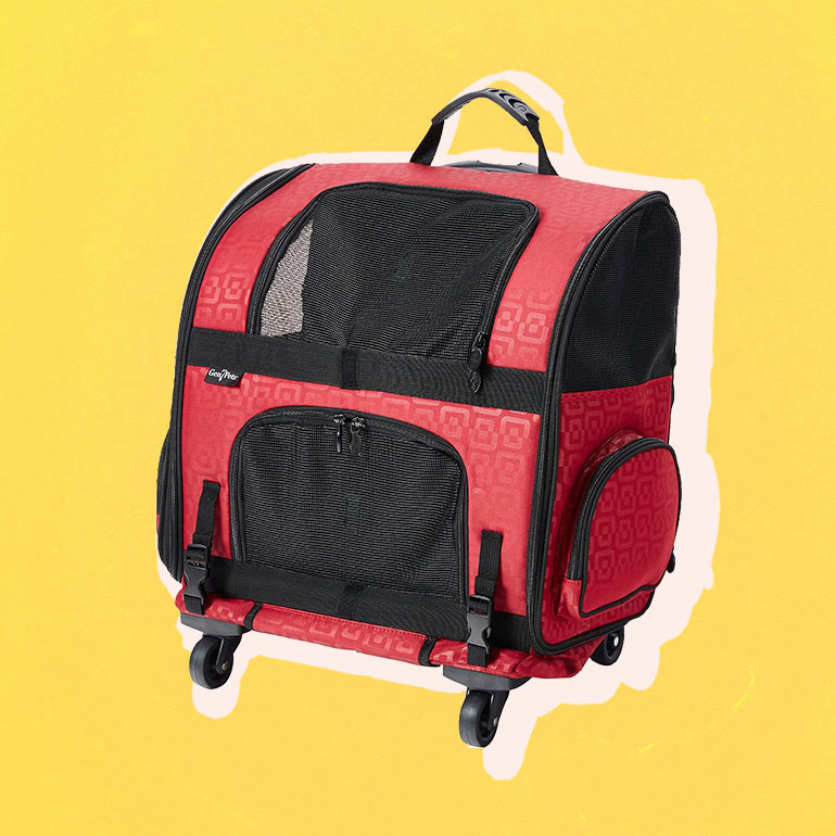 best cat carrier - cat backpack