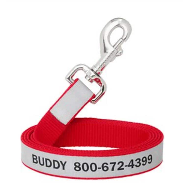 dog hiking gear- leash for hiking