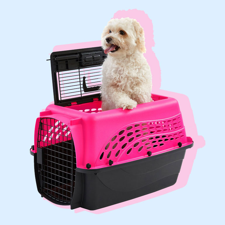 best dog carrier - dog travel crate or kennel