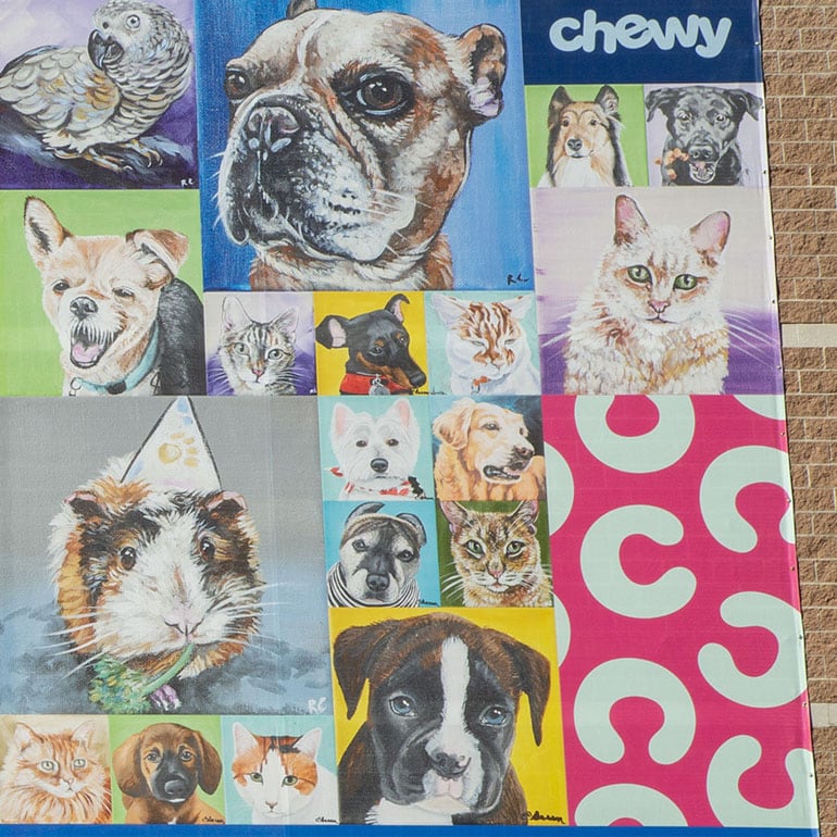 Chewy Celebrates 10 Year Anniversary with the Ultimate Pet