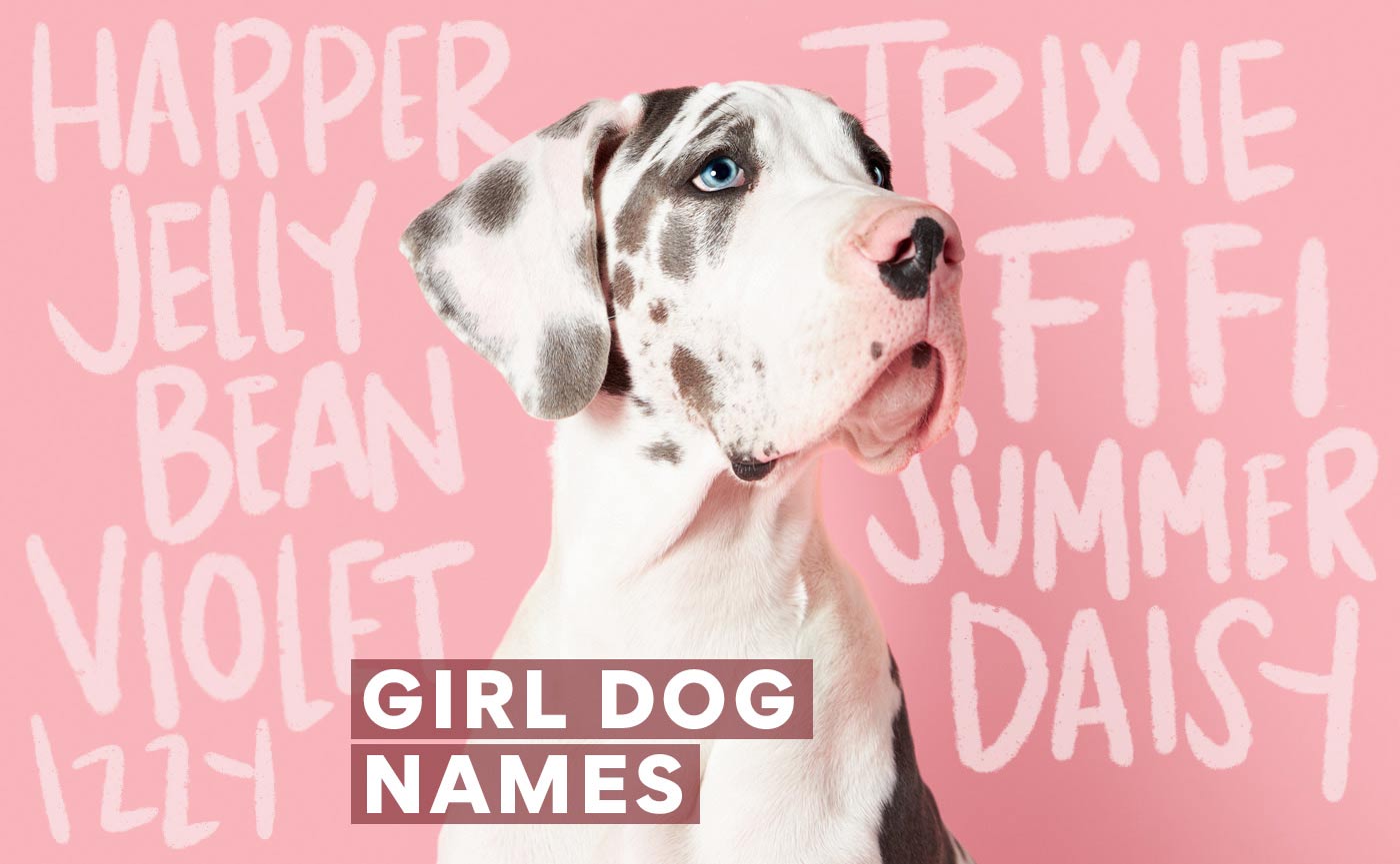 girl dog names