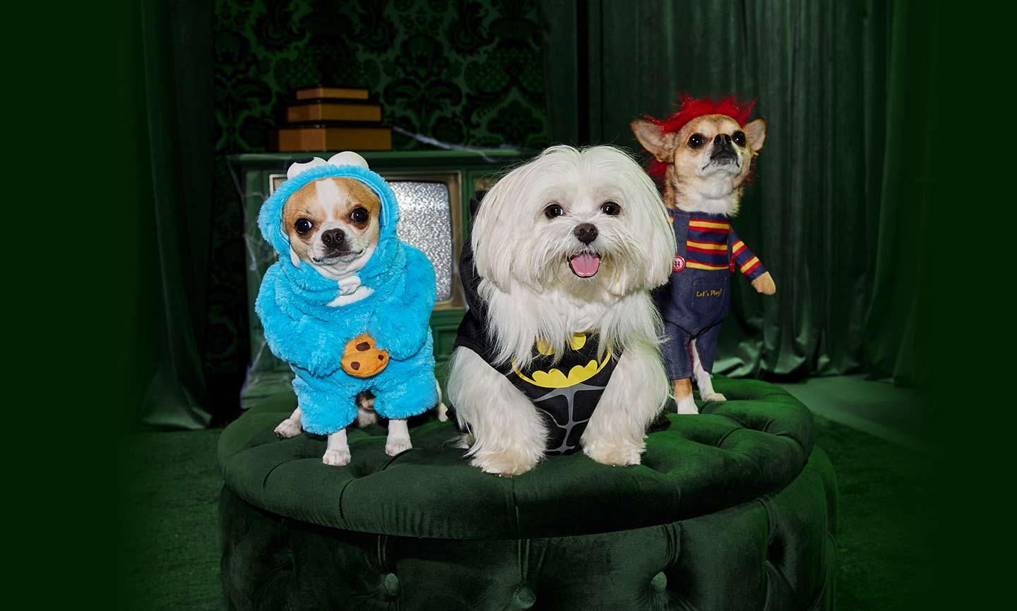 Chewy's Halloween 2022 Dog Costumes Include Disney & Marvel Characters