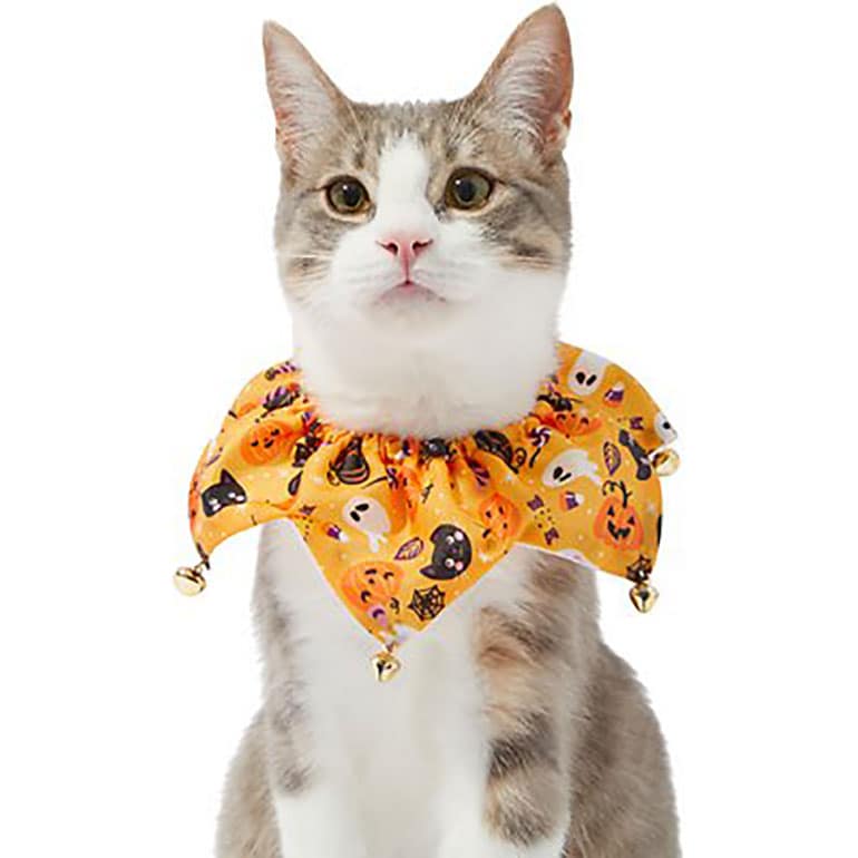 Buying Guide How to Choose the Best Pet Halloween Costumes for Cats