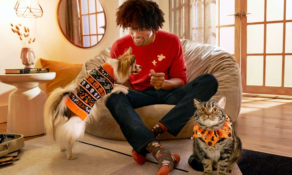 pet halloween accessories for pets who don't like costumes