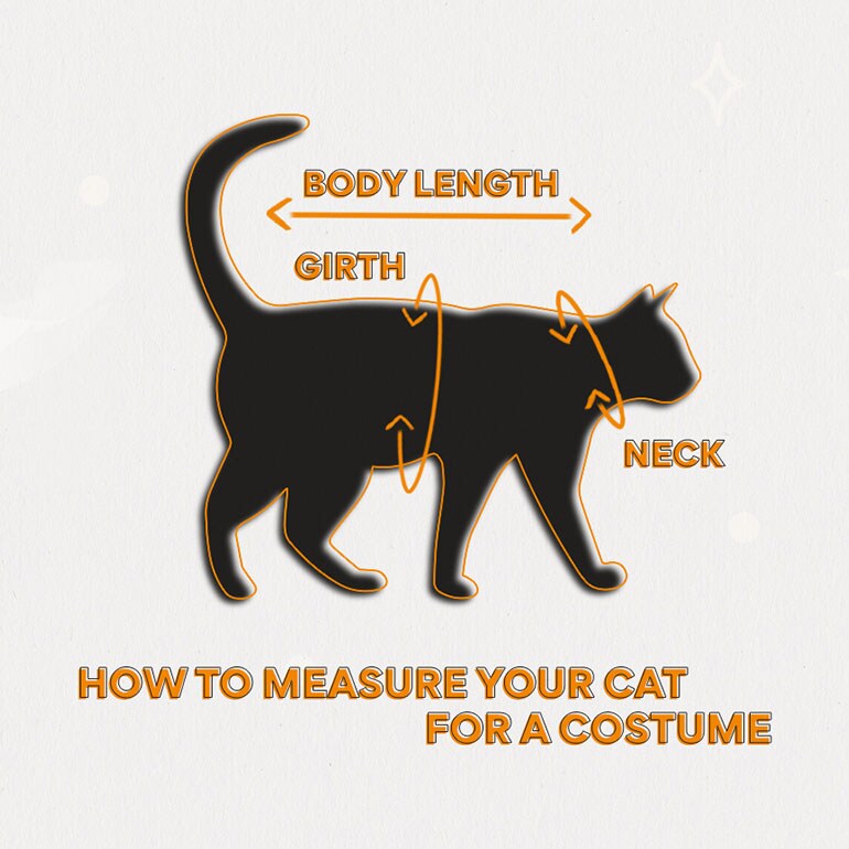 halloween with pets - pet halloween costumes sizing guide for cat