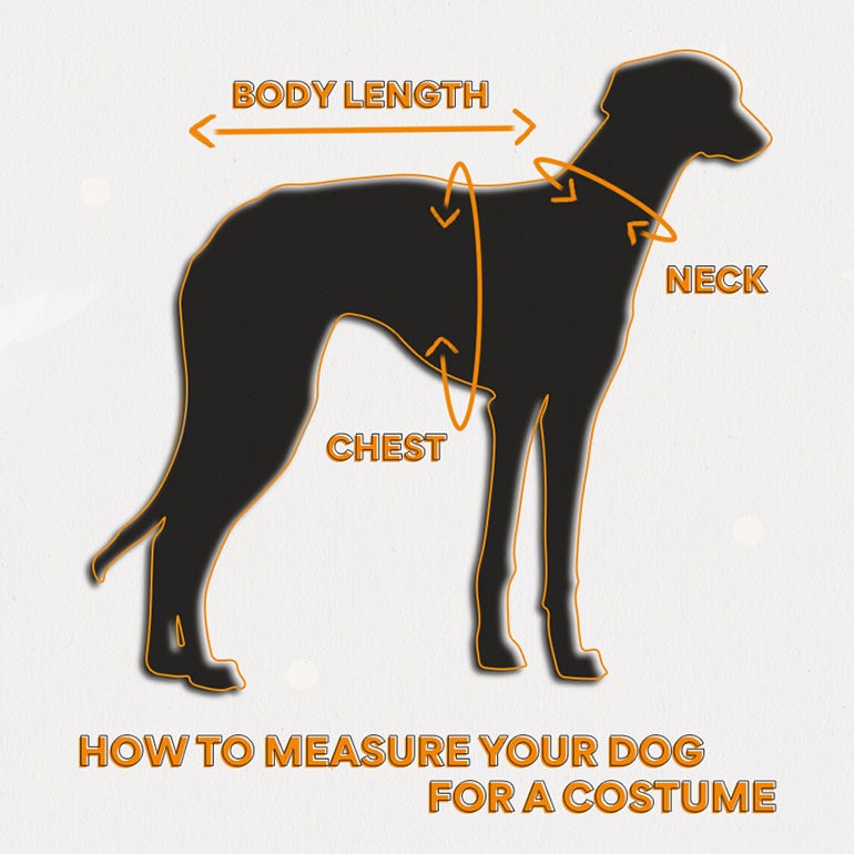 halloween with pets - pet halloween costumes sizing guide for dogs