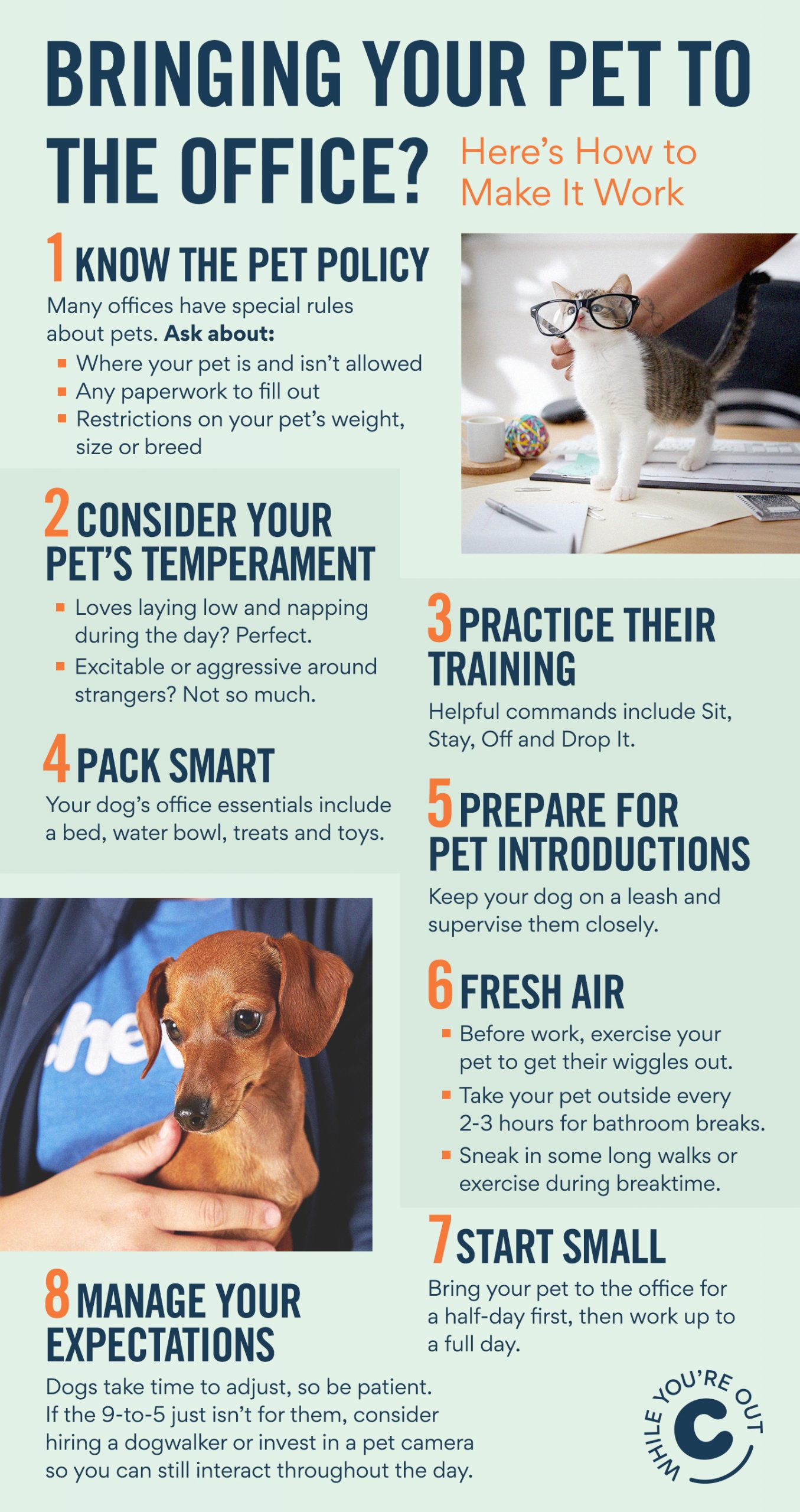 Should You Bring Your Dog To Work