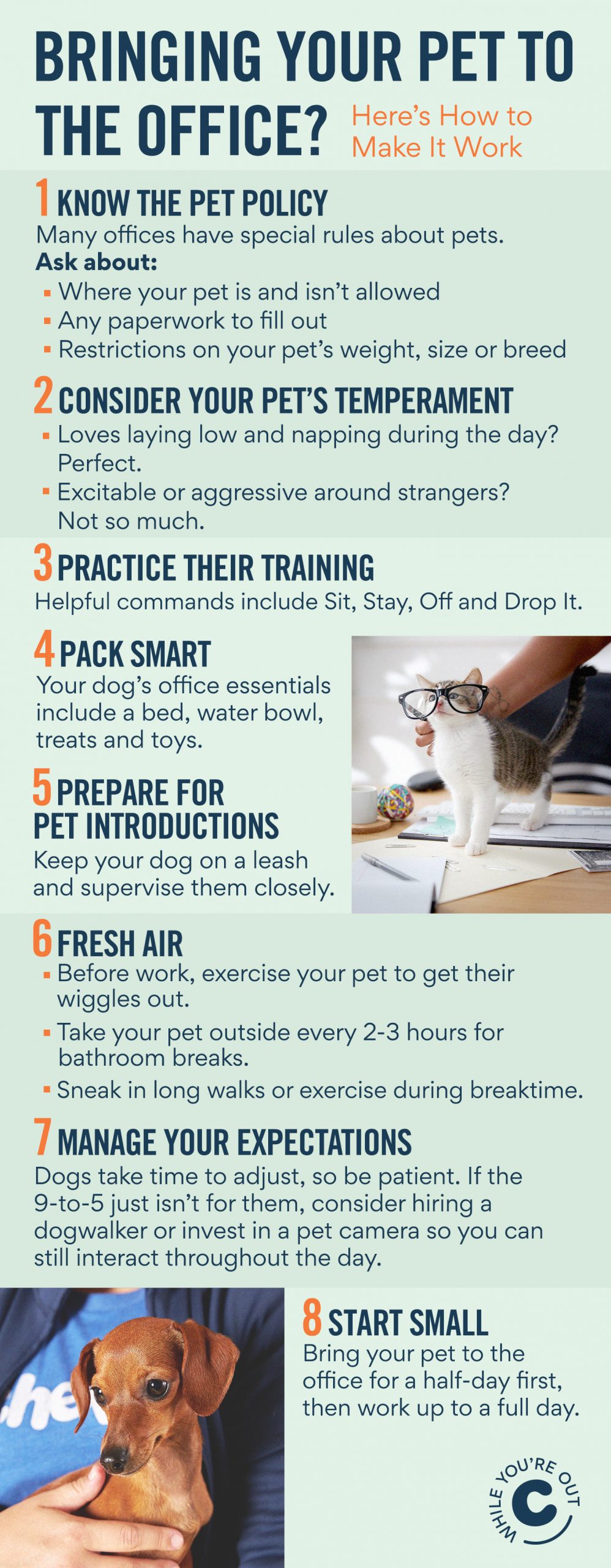 How To Keep Your Dog Busy While You're At Work - Bella+Boss Pets