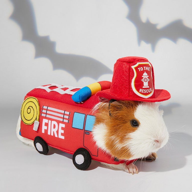 guinea pig halloween costume - firetruck