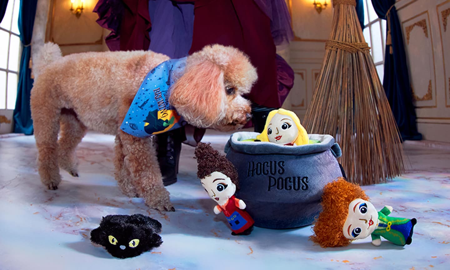 Disney Hocus Pocus Ride-On Sanderson Sisters Dog Cat Costume