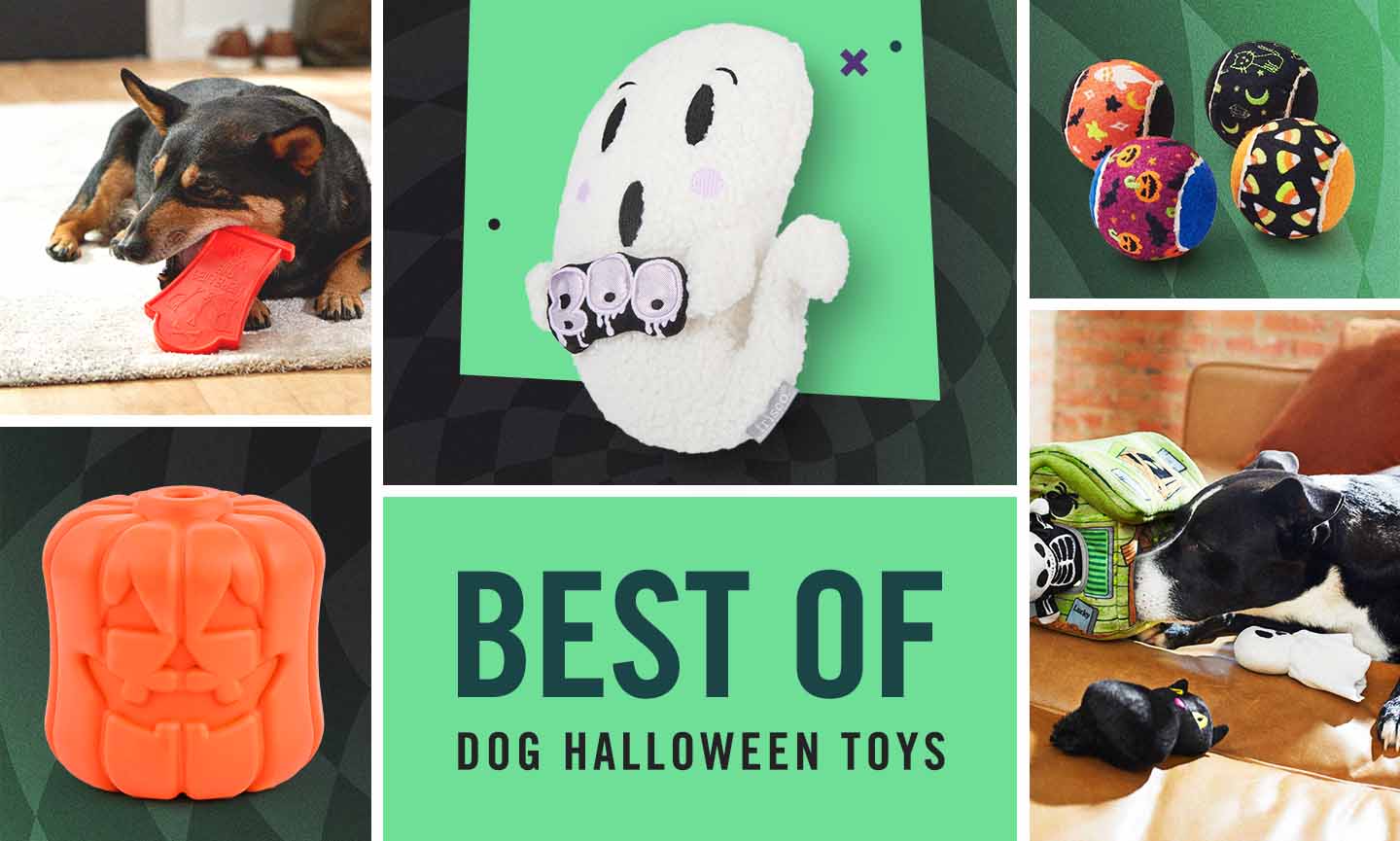 tough halloween dog toys