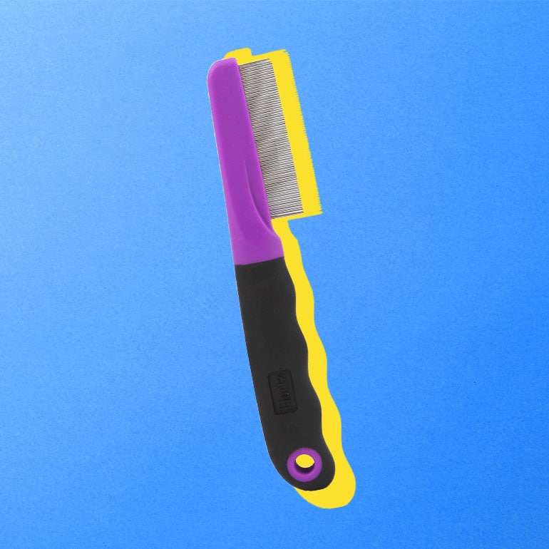 Fleas and Ticks on Cats Treatment and Prevention BeChewy