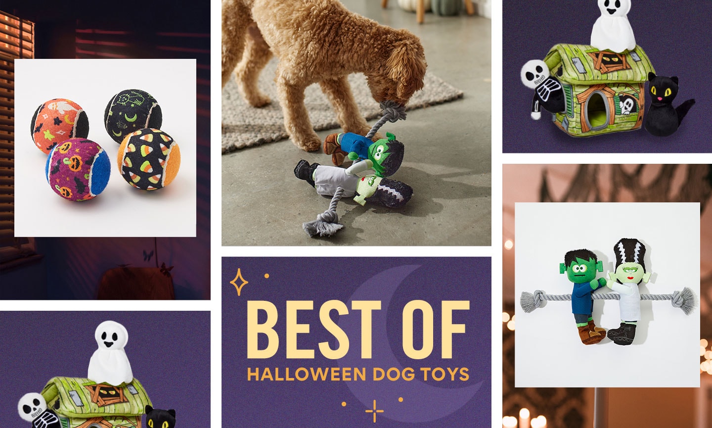 sanderson sisters dog toys