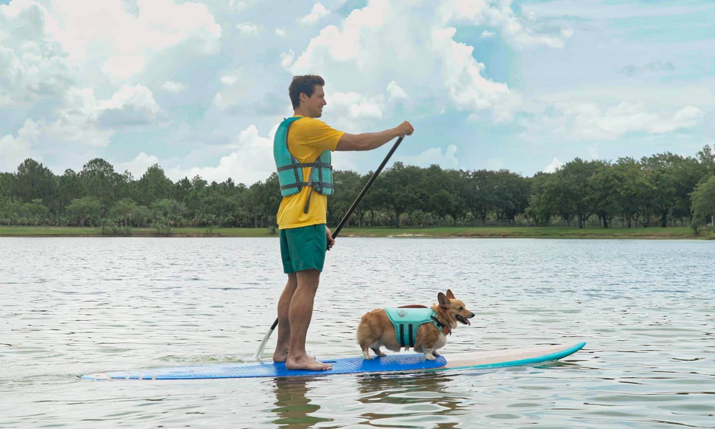 paddle board with dog