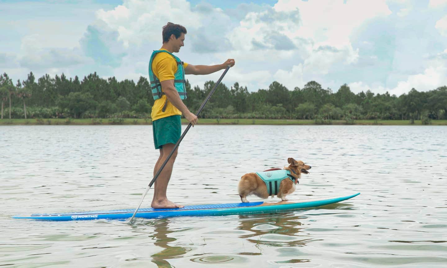 paddle board with dog