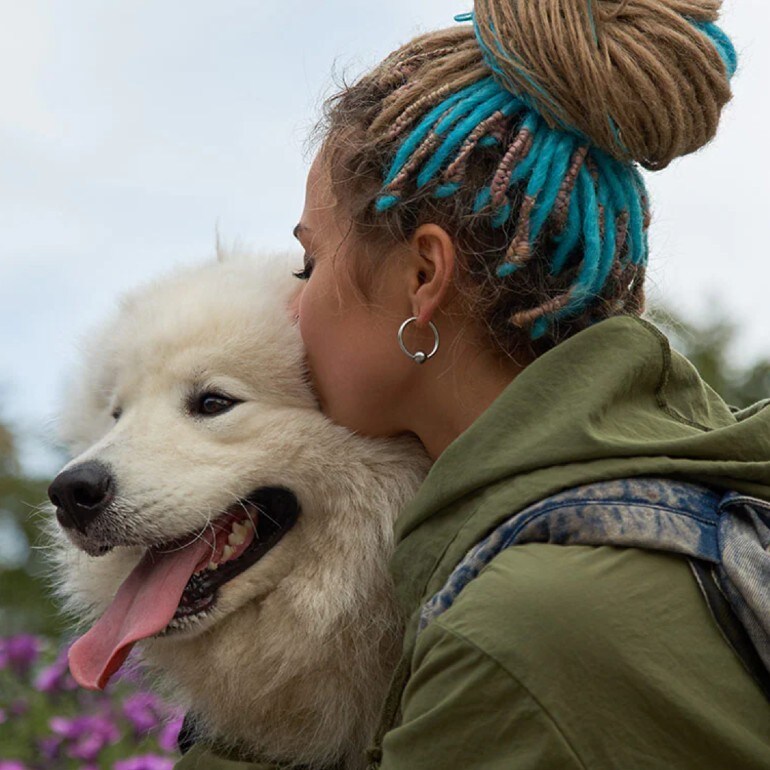 Dog Separation Anxiety How to Treat Separation Anxiety in Dogs BeChewy