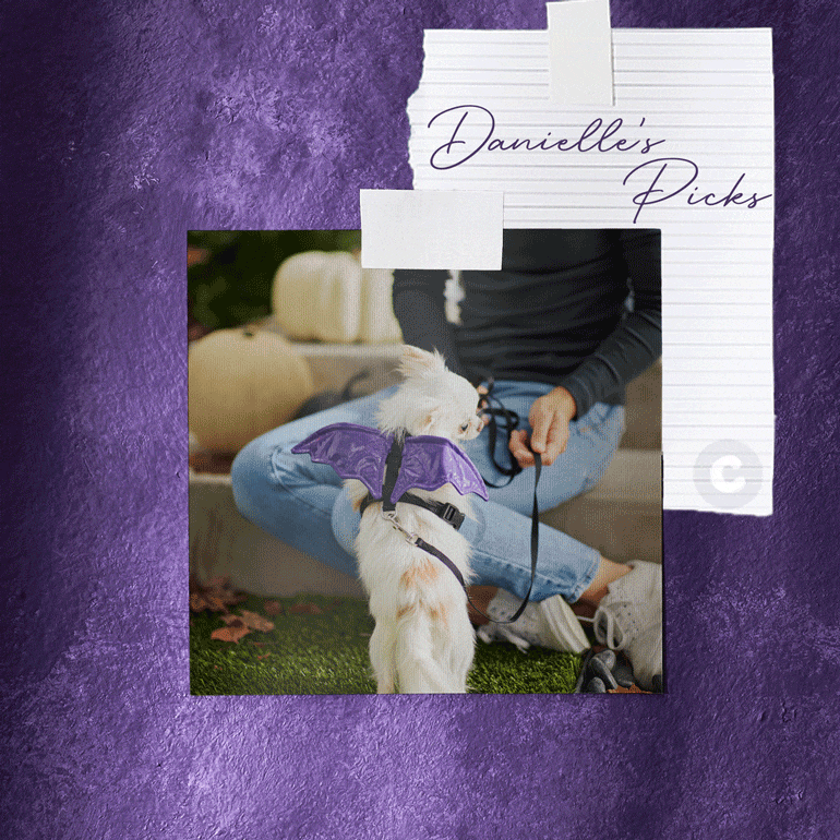 pet halloween gear - editors picks 2021 - danielle
