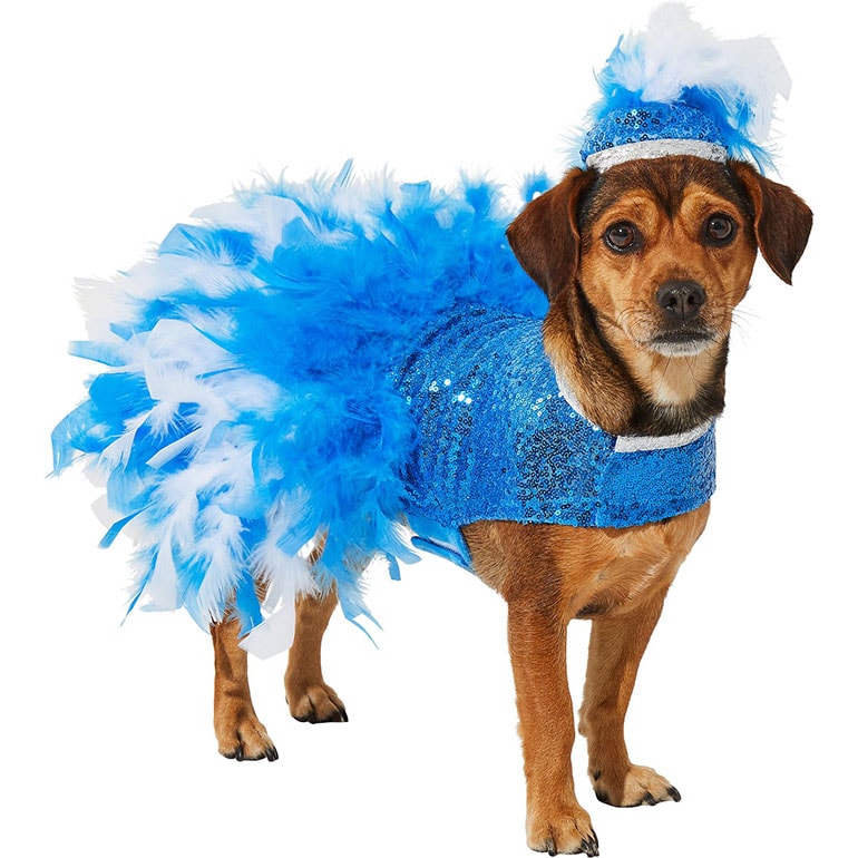 Chewy Dog Halloween Costumes 2022 Bechewy S Editors Pick The Best Pet Halloween Gear Of 2021 Bechewy