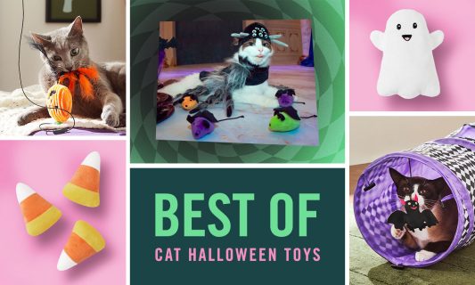 best cat halloween toys