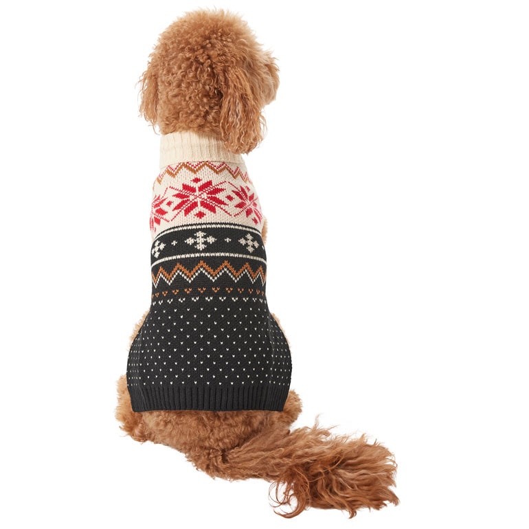 chewy small dog sweaters