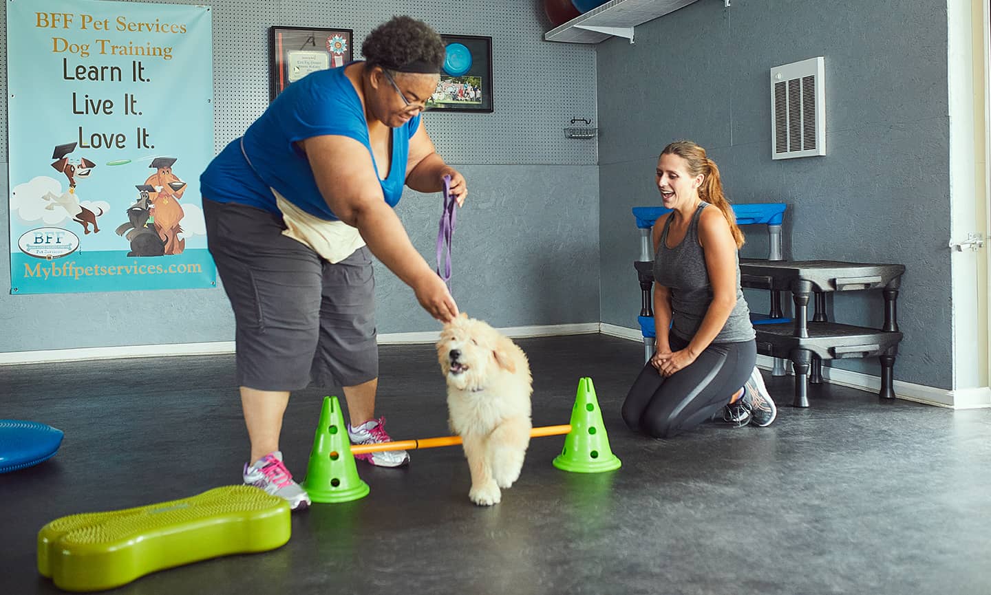 Dog Trainer Chrissy Joy Shares Her Top Tips | BeChewy