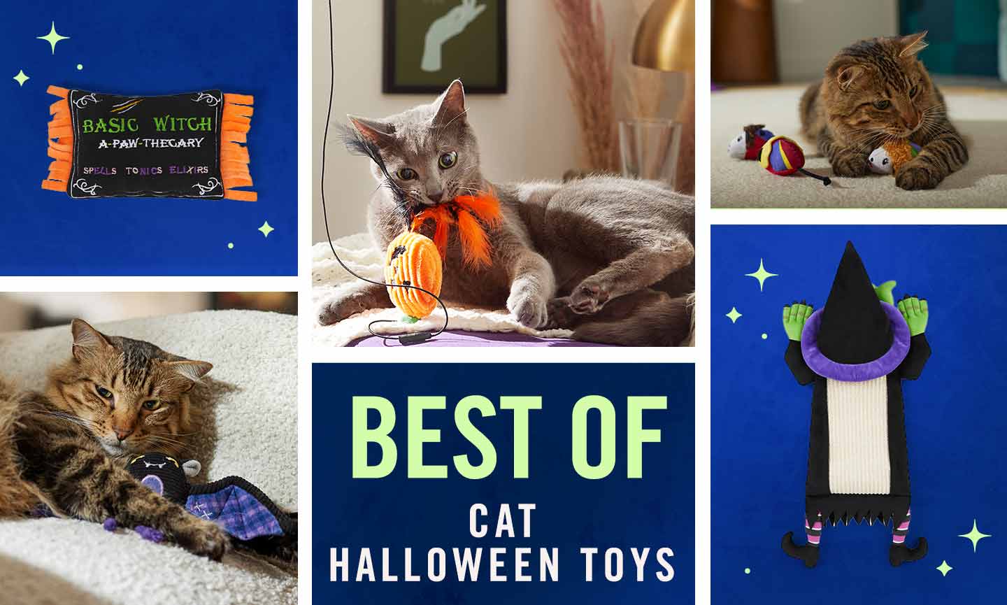 Thrills and store chills cat toys