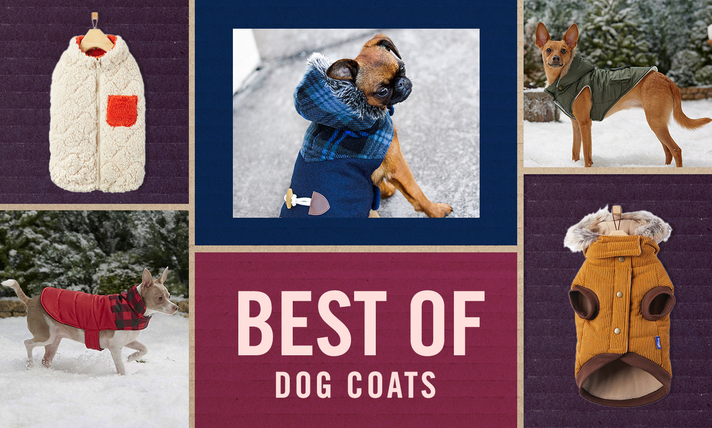 Hot Sale Fashion Designer Dog Warm Coat Fashionable Colorful