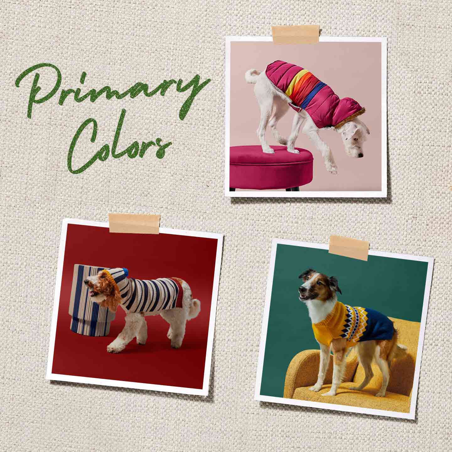fall winter fashion for dogs - primary colors trend