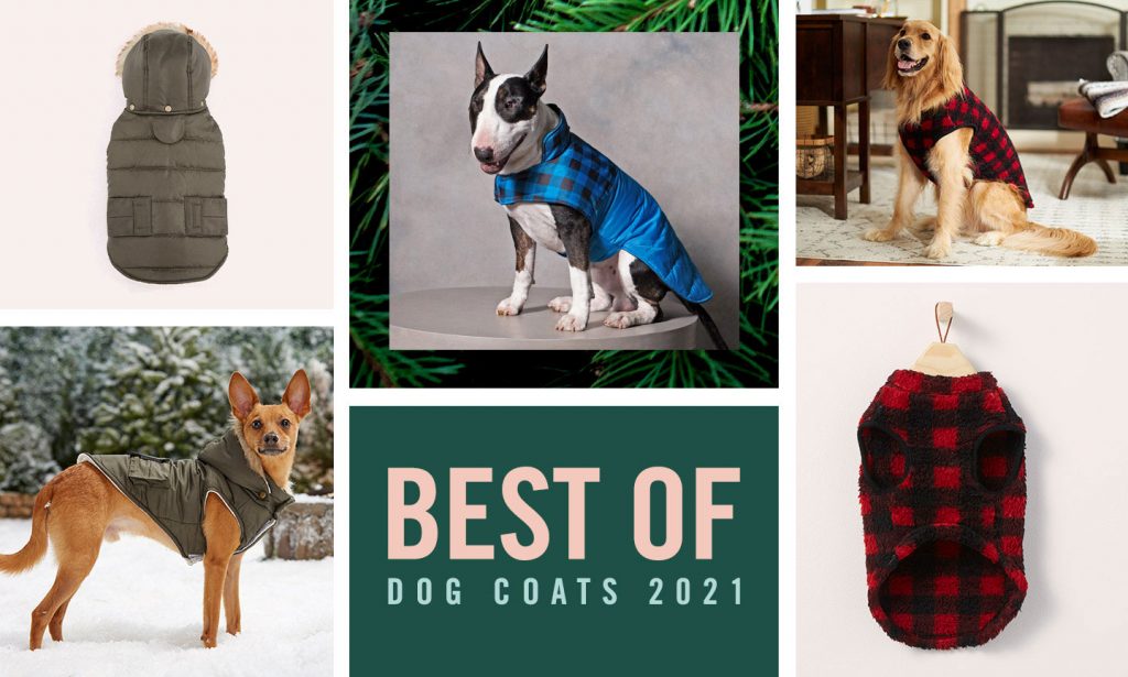 best dog coats 2021