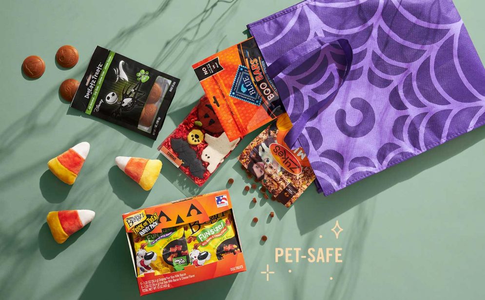 Dog halloween treats - what's in our dog's trick or treat bag