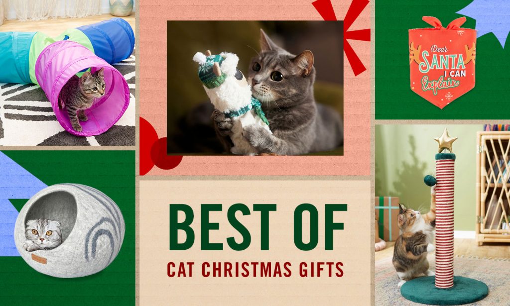best christmas gifts for cats