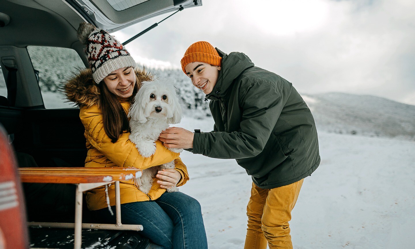 how to travel with dog
