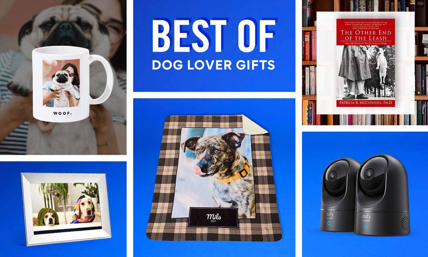 the-best-gifts-for-dog-lovers-and-owners-in-2022-bechewy