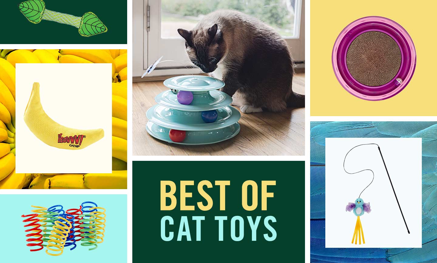 The 21 Best Cat Toys for All Kinds of Cats and All Kinds of Play