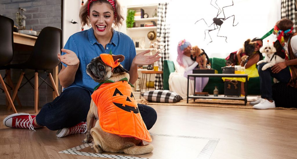 Halloween party games for dogs and cats