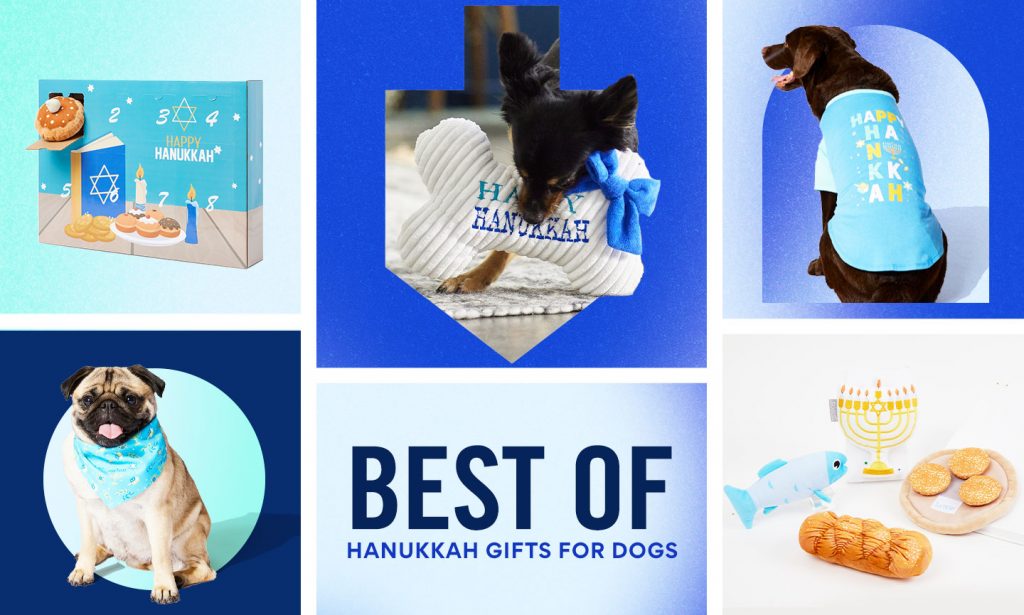 Best Hanukkah Dog Gifts